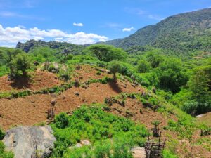 Pamoja to Sustain gallery photo