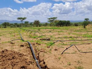 Pamoja to Sustain gallery photo
