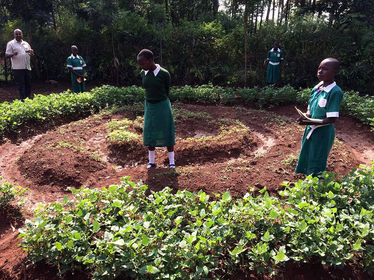 Nutrition and school-based agriculture