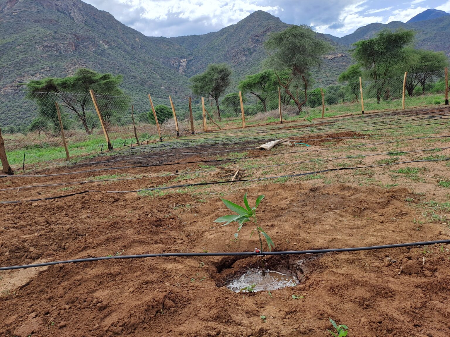 Climate-resilient farming