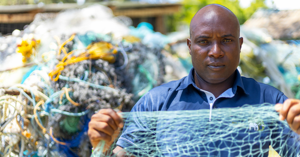 Environment and Climate Change programme