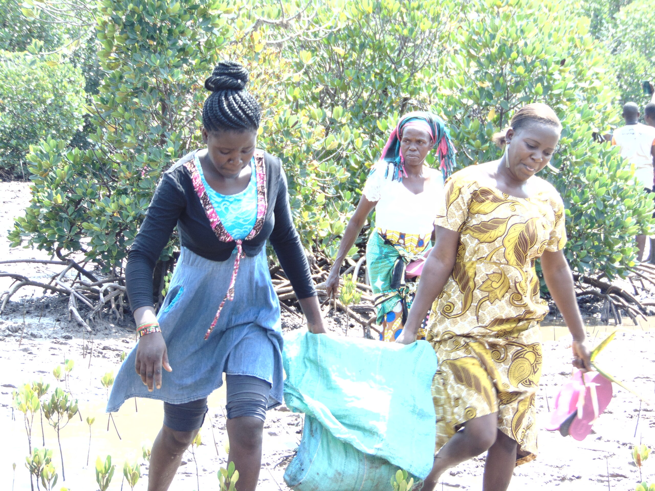 Pamoja To Sustain community programme in Nairobi